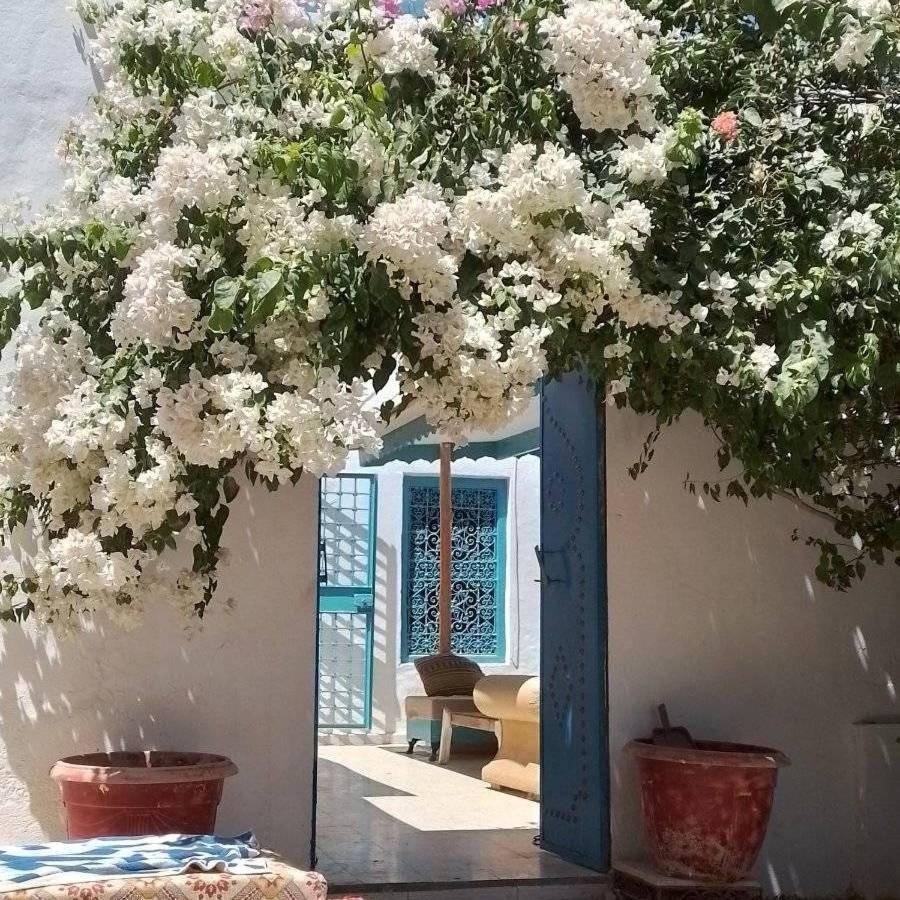 Djerbahouch Villa Midoun Bagian luar foto